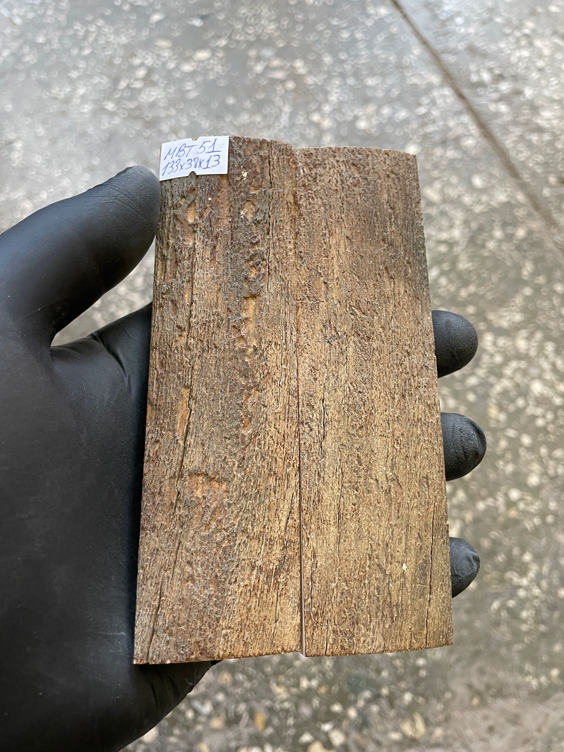 mammoth bark tusk pair scales MBT51