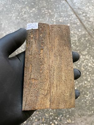 mammoth bark tusk pair scales MBT51