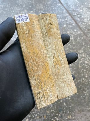 mammoth bark tusk pair scales MBT52