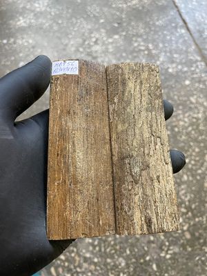 mammoth bark tusk pair scales MBT56
