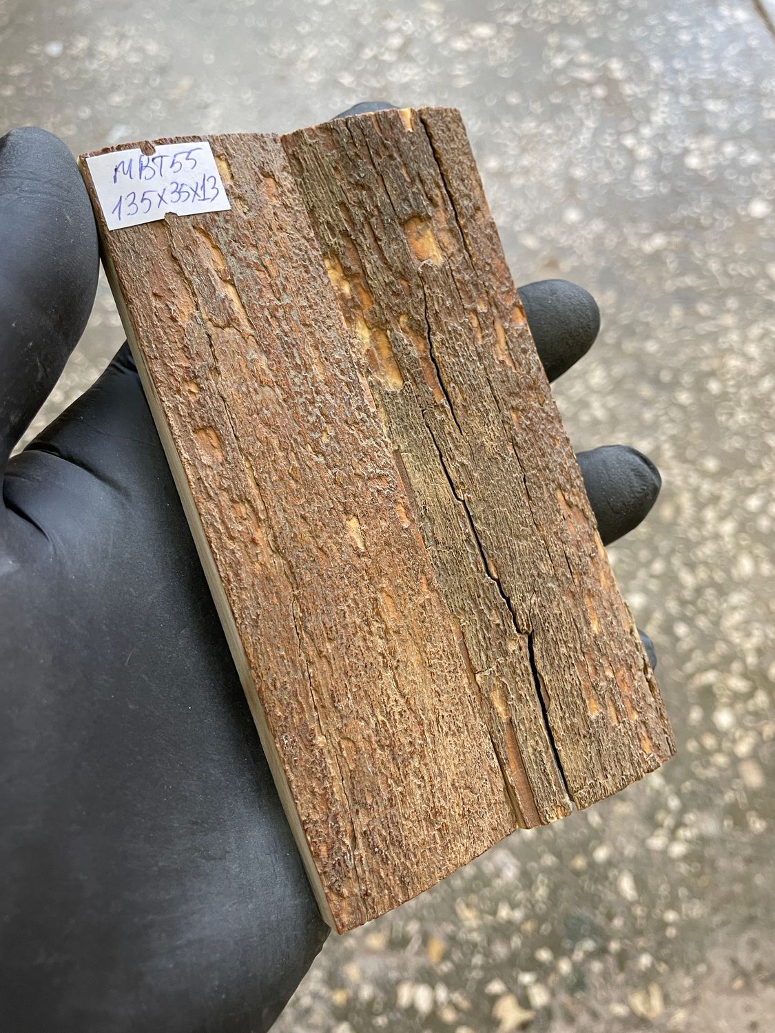 mammoth bark tusk pair scales MBT55