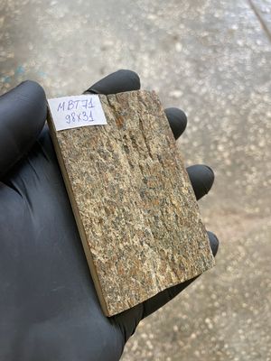 mammoth bark tusk pair scales MBT71