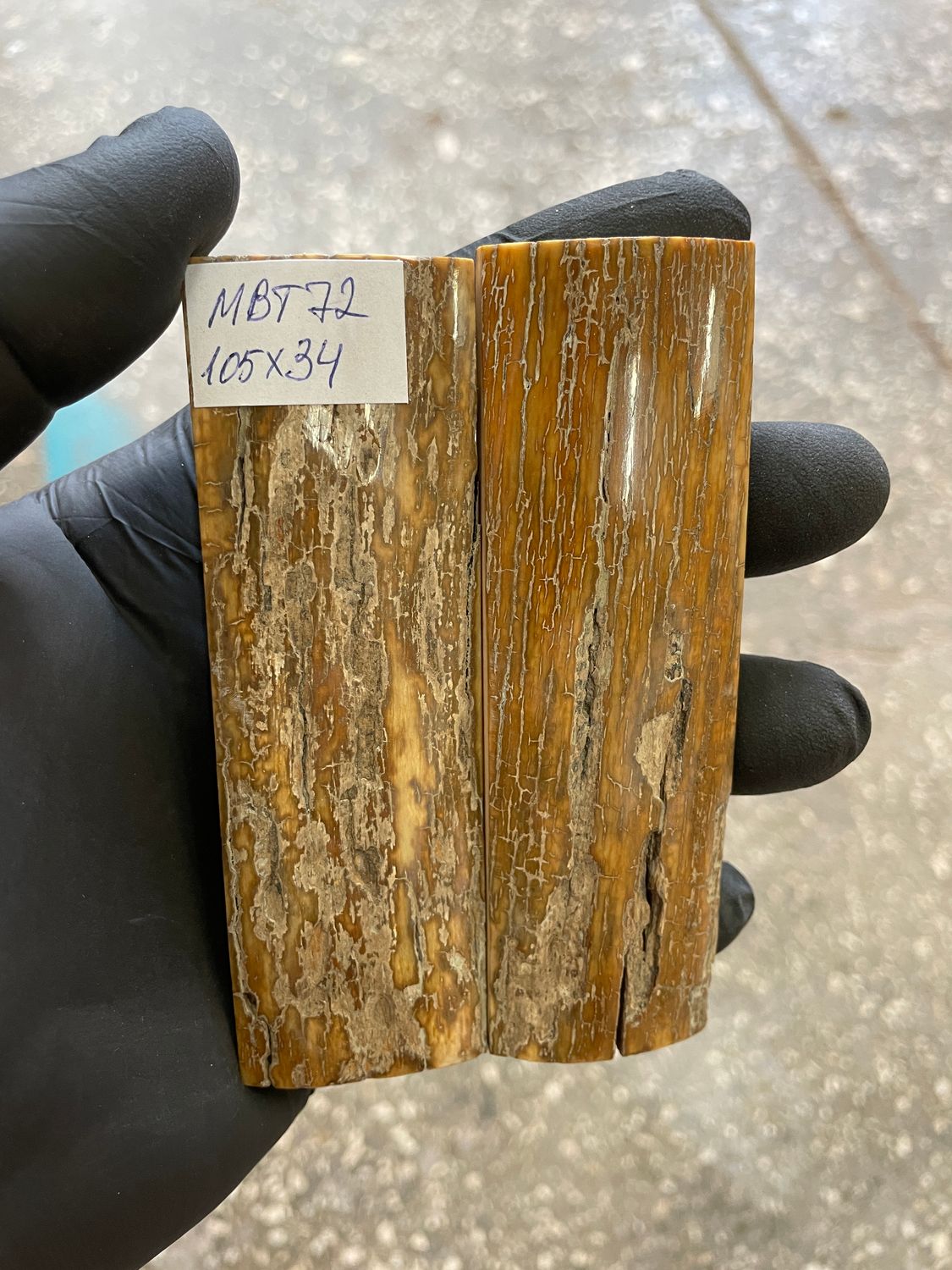 mammoth bark tusk pair scales MBT73