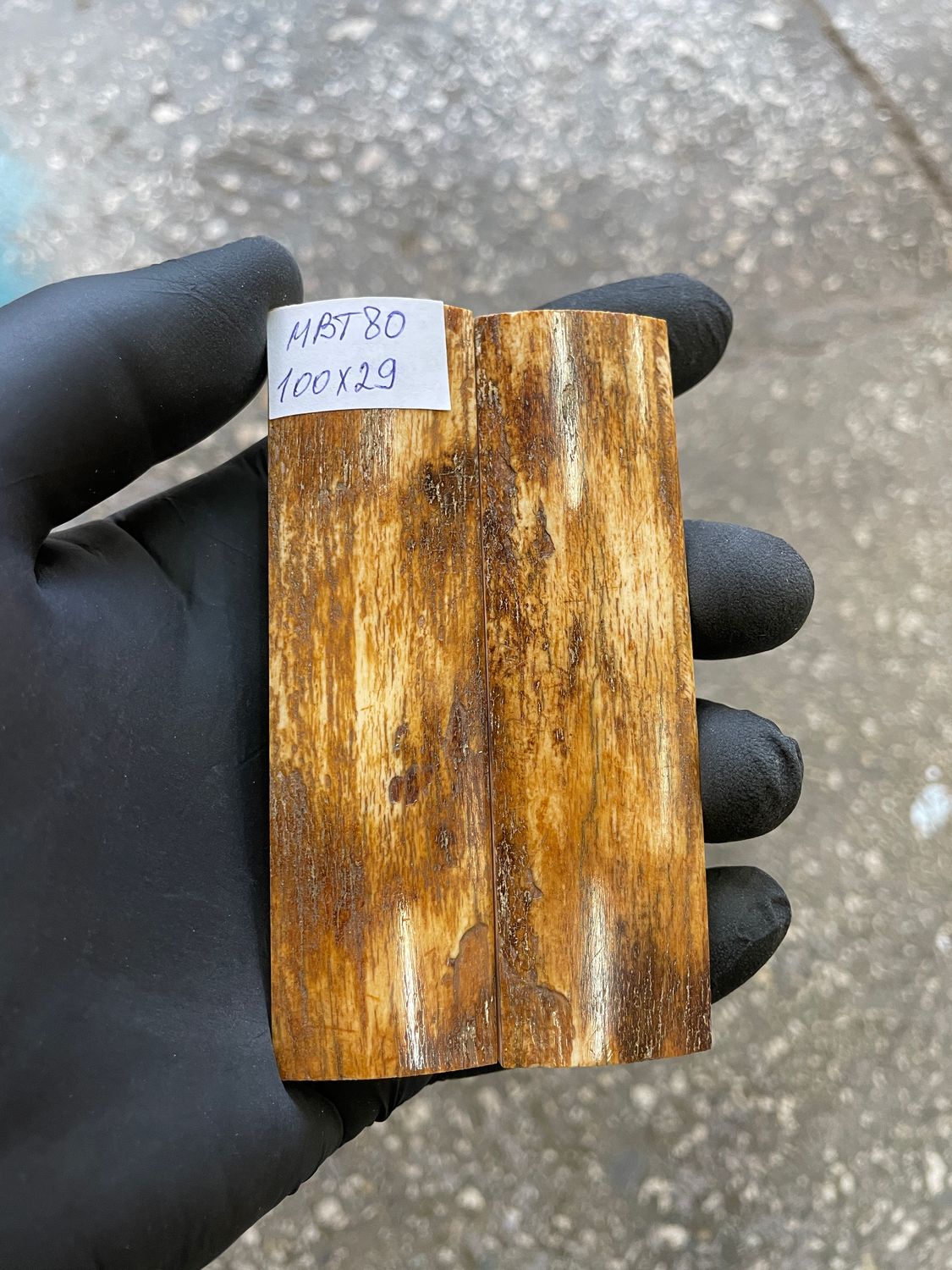 mammoth bark tusk pair scales MBT80