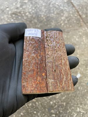 mammoth bark tusk pair scales MBT83