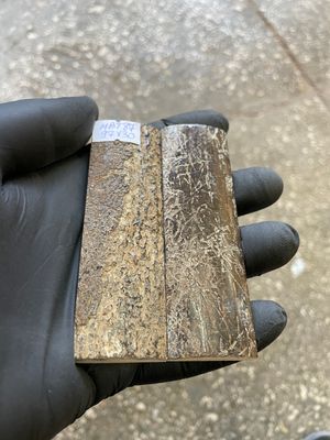 mammoth bark tusk pair scales MBT87