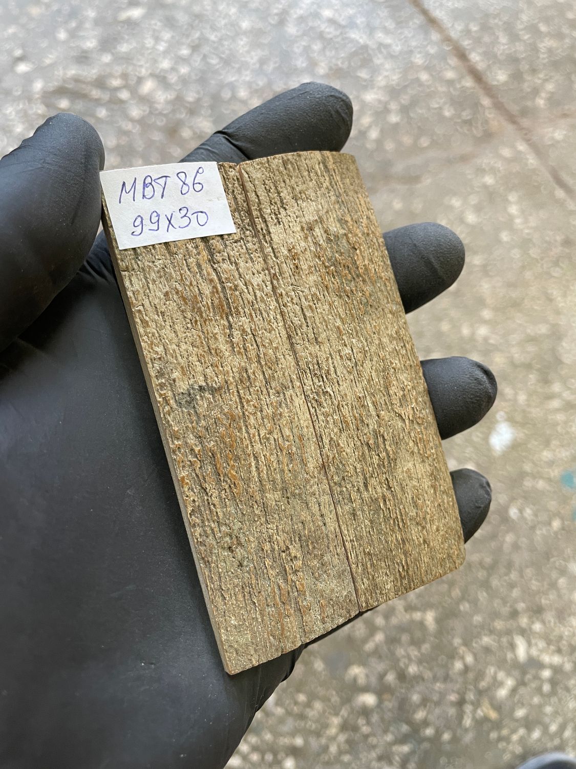 mammoth bark tusk pair scales MBT86