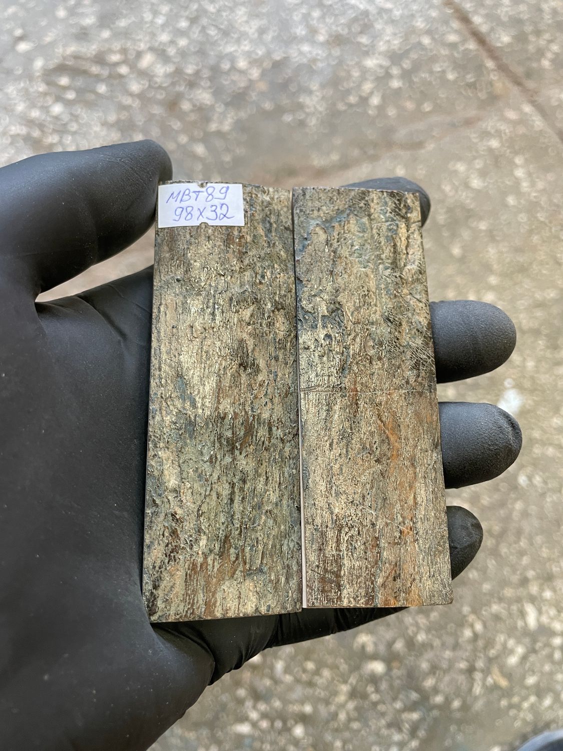 mammoth bark tusk pair scales MBT89