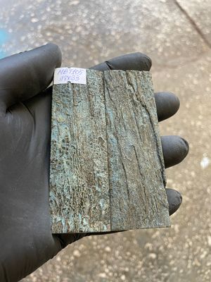 mammoth bark tusk pair scales AMAZING BLUE!!!!! MBT105