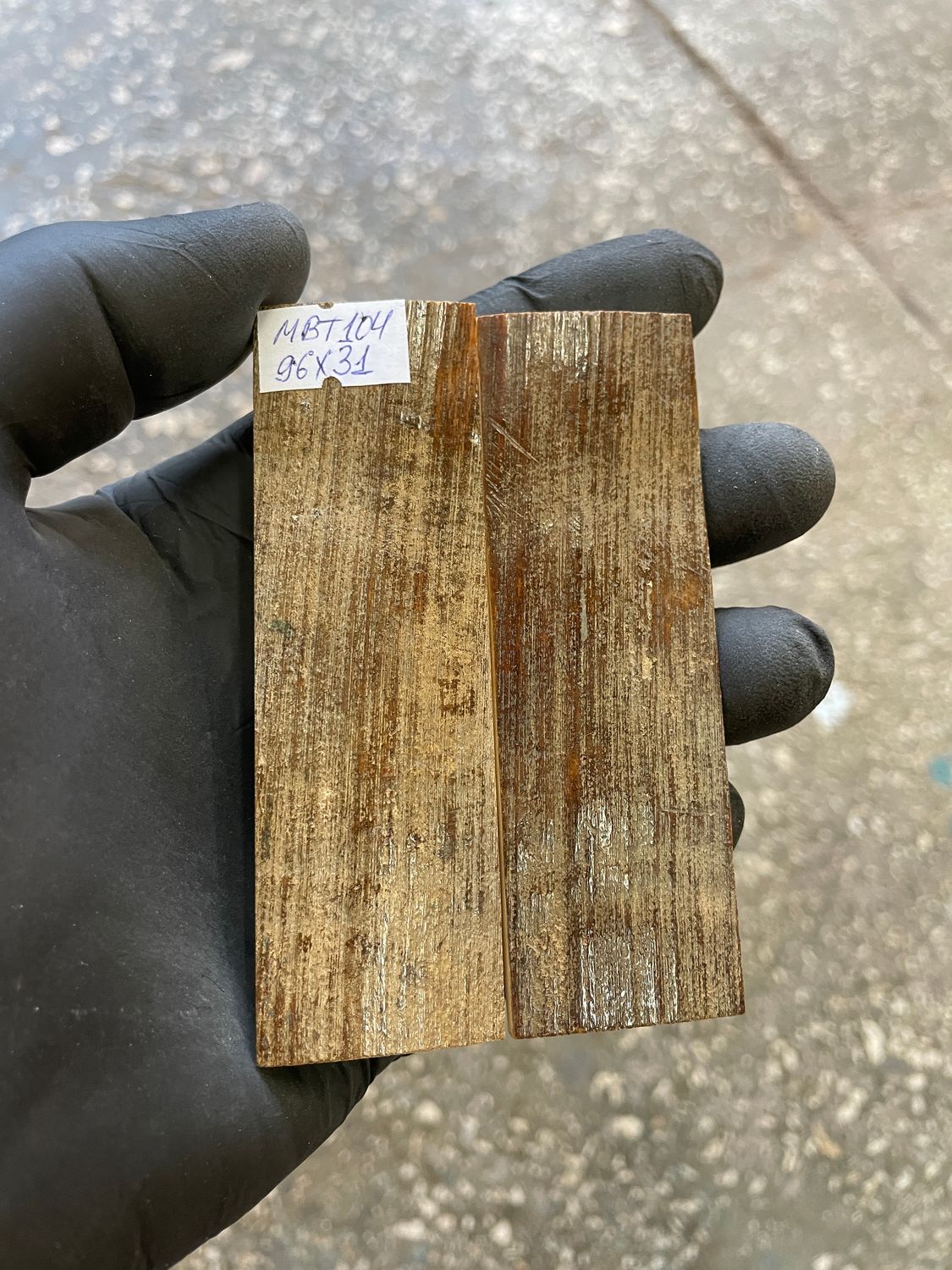 mammoth bark tusk pair scales MBT104