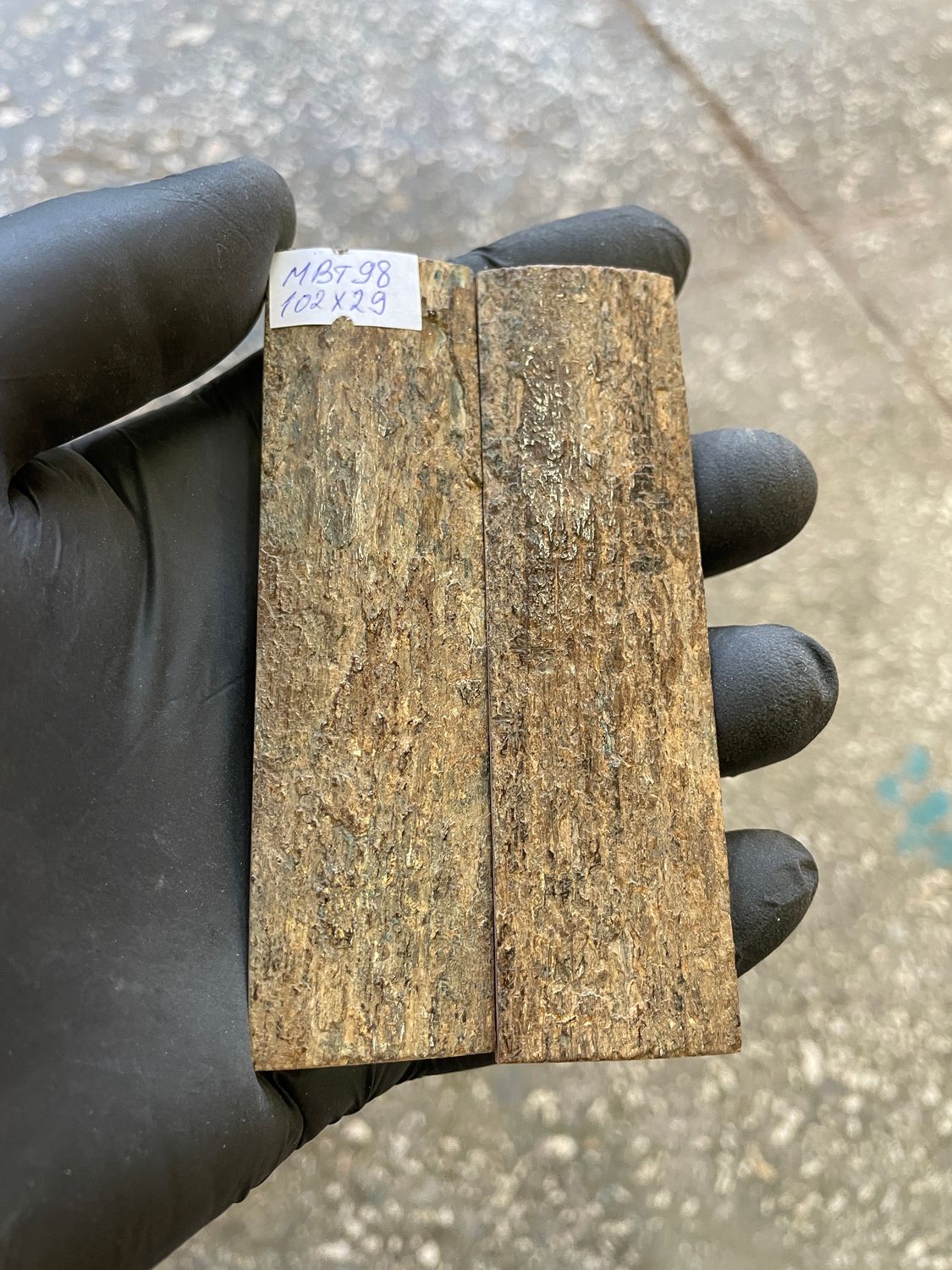 mammoth bark tusk pair scales MBT98
