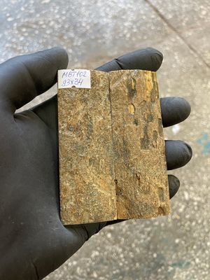 mammoth bark tusk pair scales MBT102