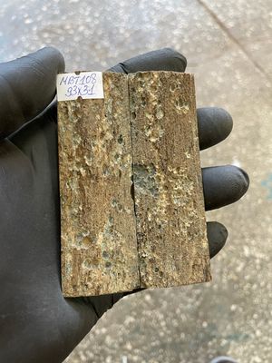 mammoth bark tusk pair scales MBT108