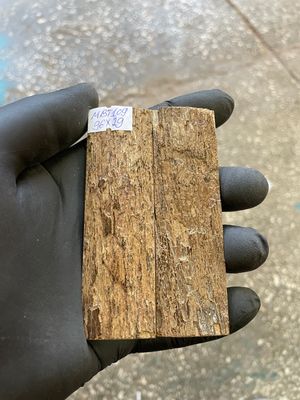 mammoth bark tusk pair scales MBT109
