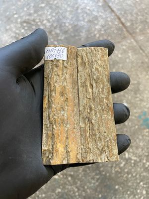 mammoth bark tusk pair scales MBT116