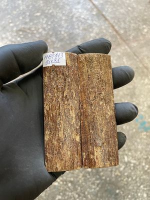 mammoth bark tusk pair scales MBT113