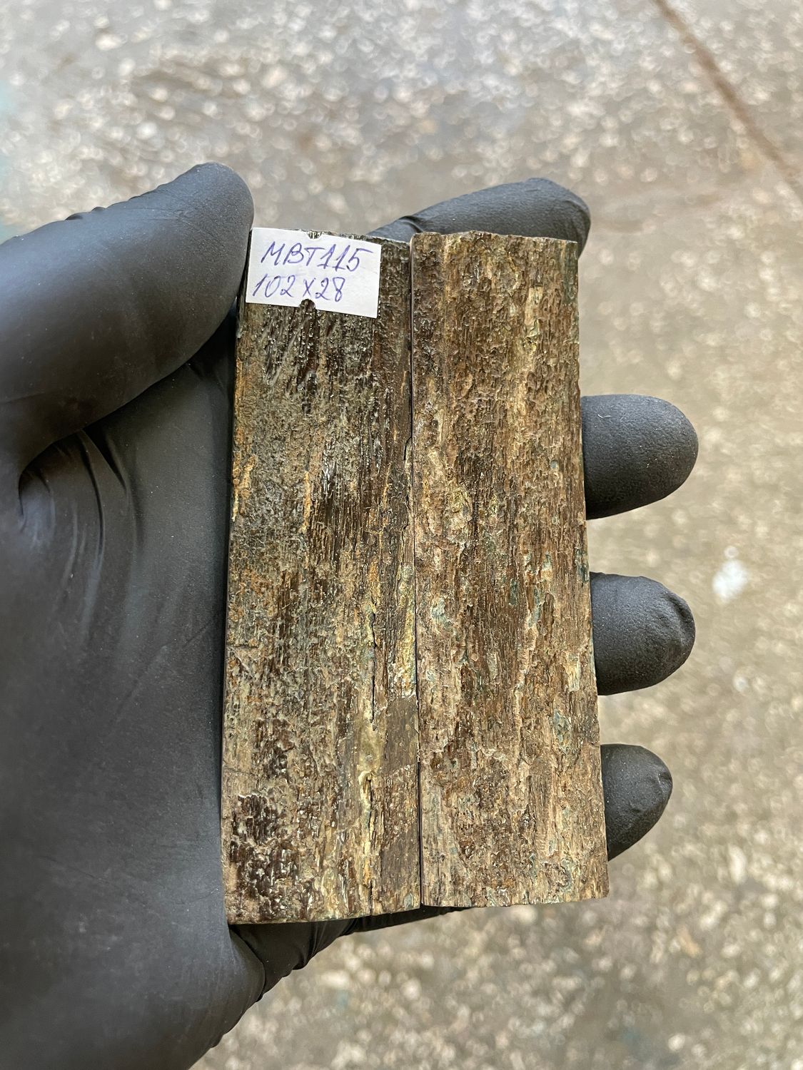 mammoth bark tusk pair scales MBT115