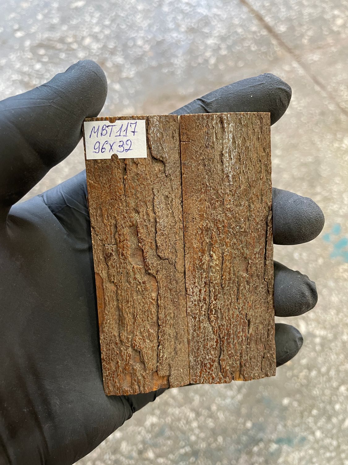 mammoth bark tusk pair scales MBT117
