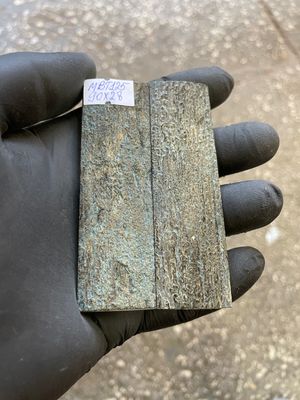 mammoth bark tusk pair scales RARE BLUE!!!! MBT125