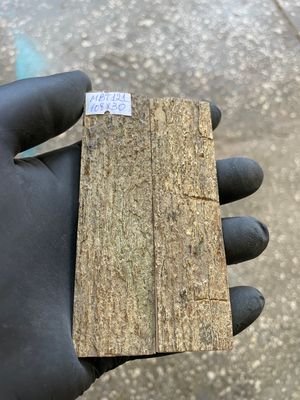 mammoth bark tusk pair scales MBT121