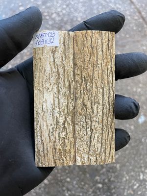 mammoth bark tusk pair scales MBT123