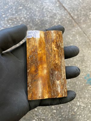 mammoth bark tusk pair scales MBT130