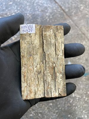 mammoth bark tusk pair scales MBT131