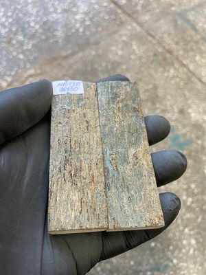 mammoth bark tusk pair scales RARE BLUE!!! MBT135