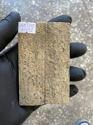 mammoth bark tusk pair scales MBT140