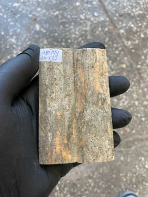 mammoth bark tusk pair scales MBT144
