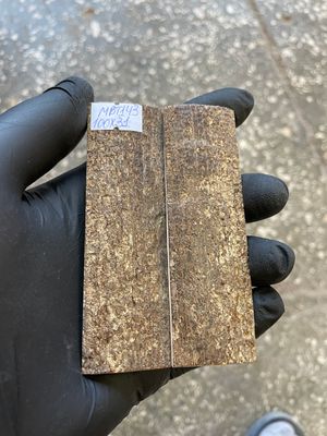 mammoth bark tusk pair scales MBT143