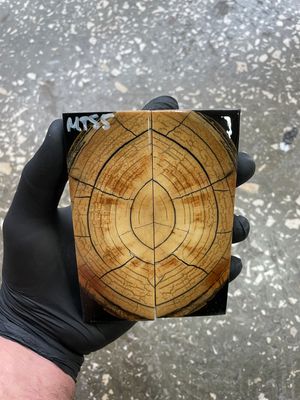 Mammoth tusk scales stabilized 4.96-1.73-0.35 inch MTS5