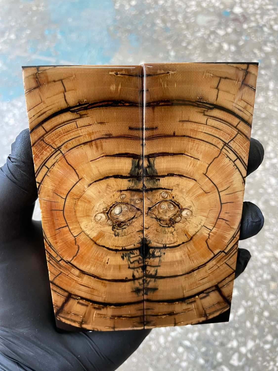 Mammoth tusk knife scales 5.15-1.81-0.39 inch MTS36