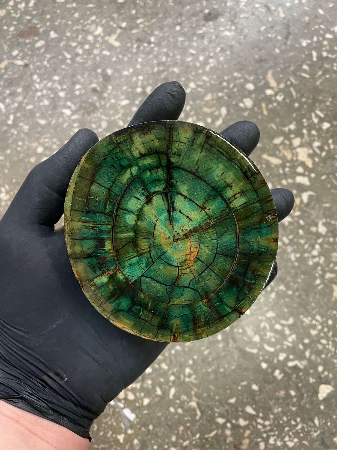 Mammoth tusk disk for knifehandle and handmade diameter 3.93-4.13 inch MTD1