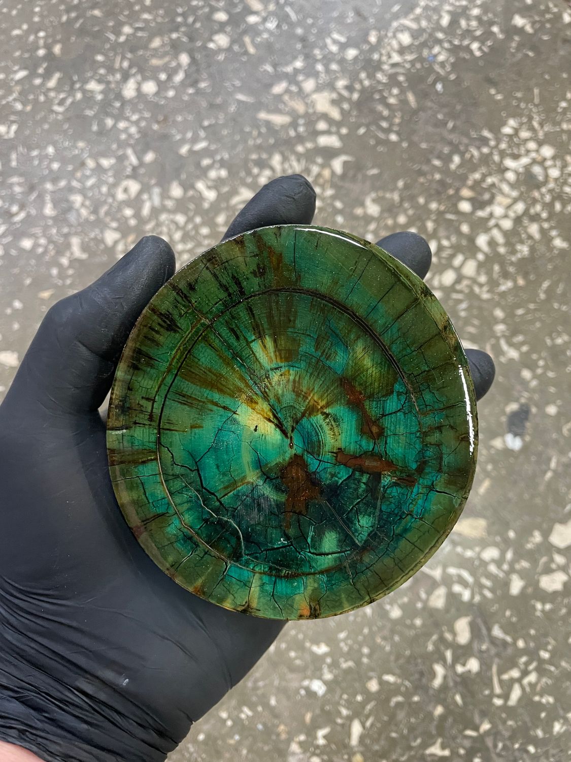 Mammoth tusk disk for knifehandle and handmade diameter 3.93-4.13 inch MTD3