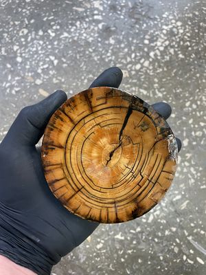 Mammoth tusk disk for knifehandle and handmade diameter 4.13 inch MTD5