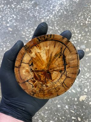 Mammoth tusk disk for knifehandle and handmade diameter 4.13 inch MTD8