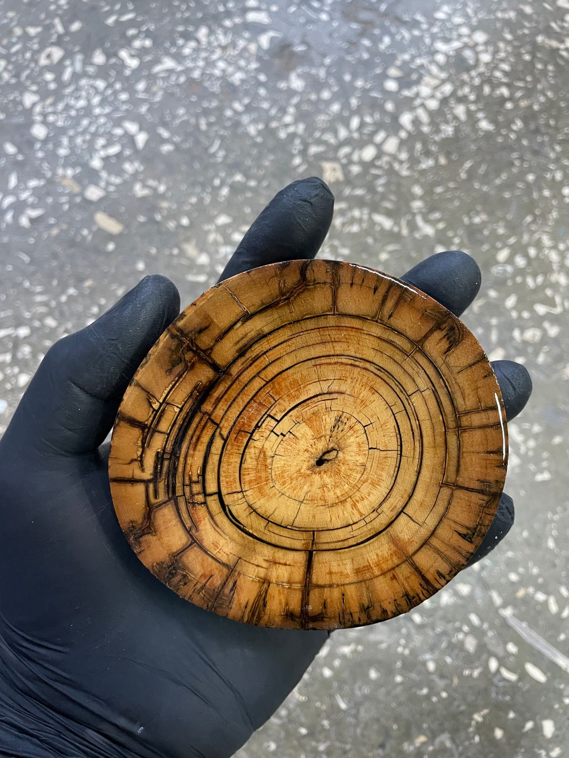 Mammoth tusk disk for knifehandle and handmade diameter 4.13 inch MTD9