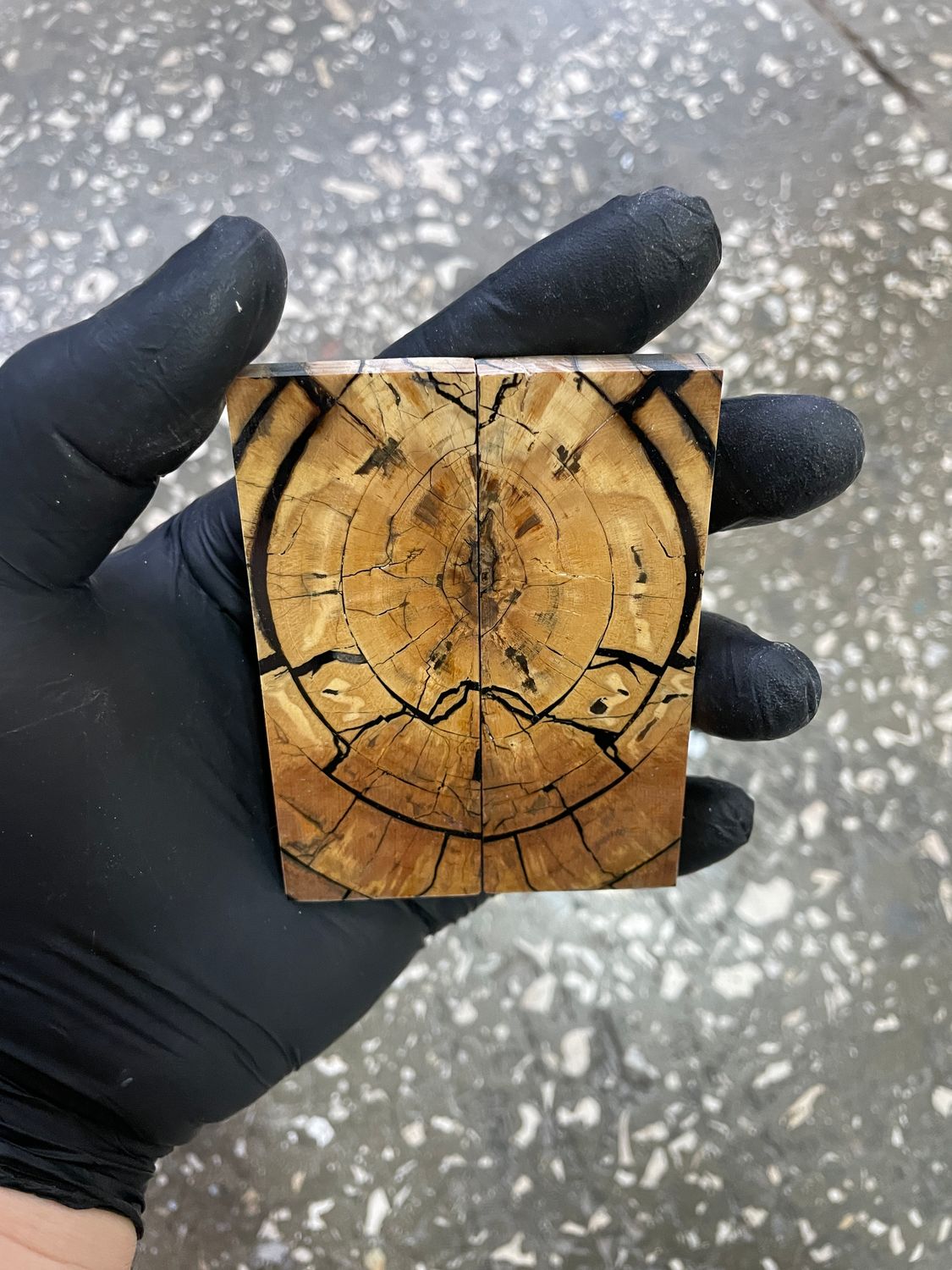 Mammoth tusk knife scales poket size 3.54-1.18-0.27 inch MTP28