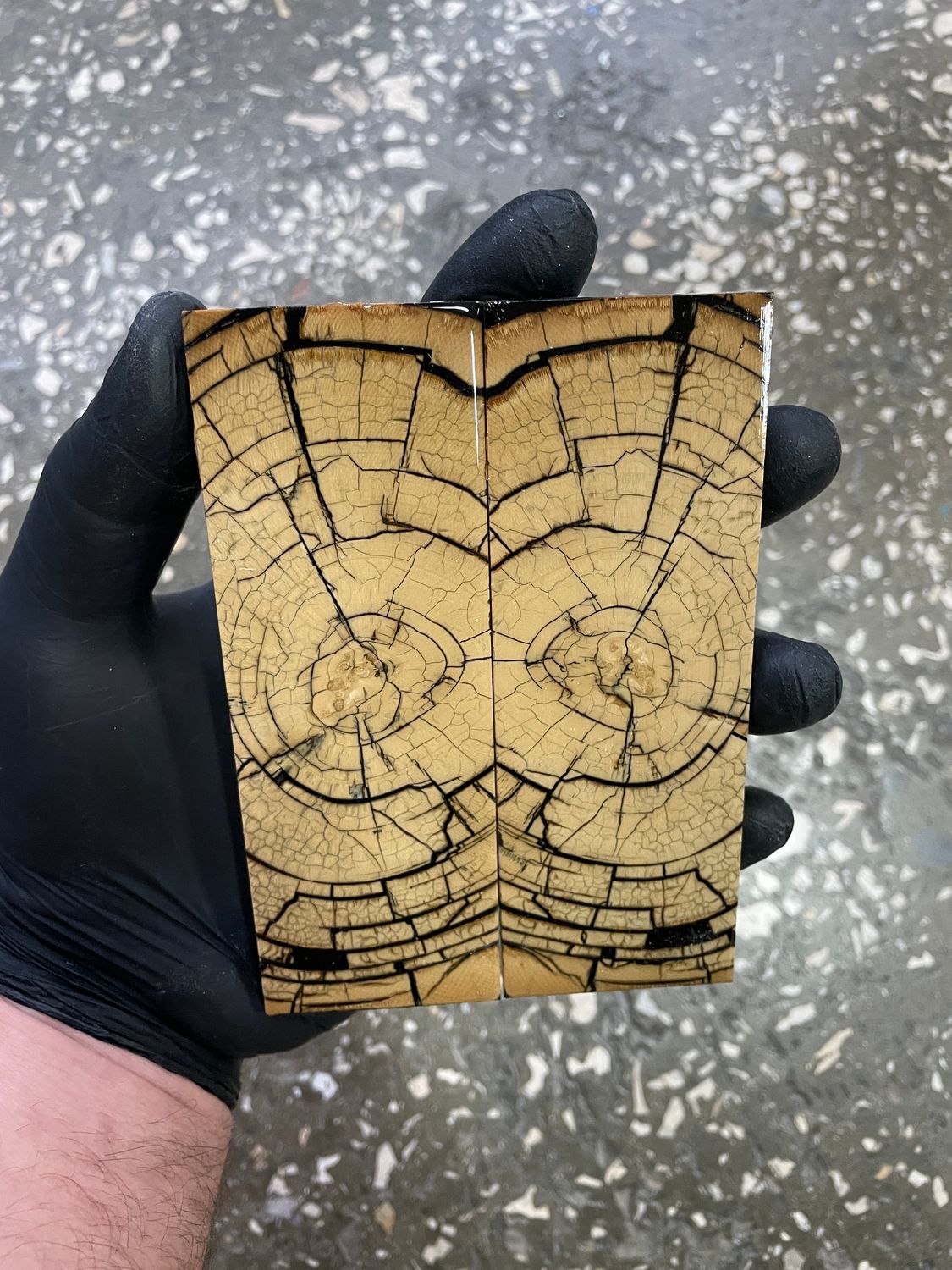 Mammoth tusk knife scales 5.15-1.77-0.39 inch MTS18