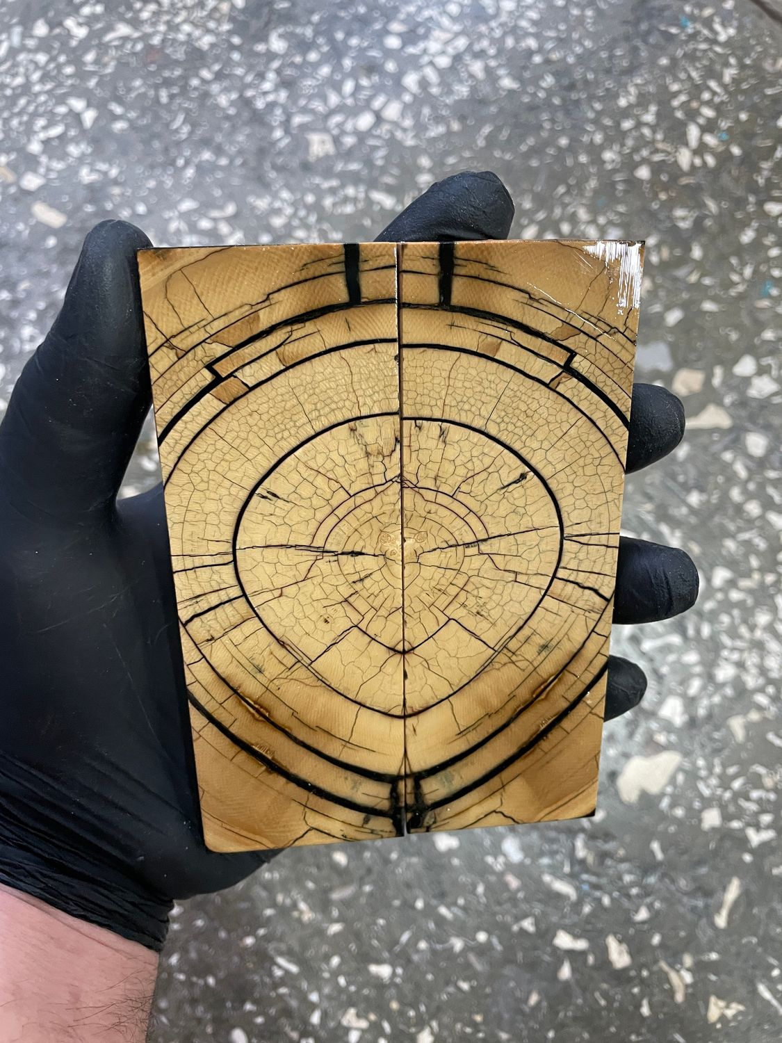 Mammoth tusk knife scales 5.15-1.77-0.35 inch MTS22