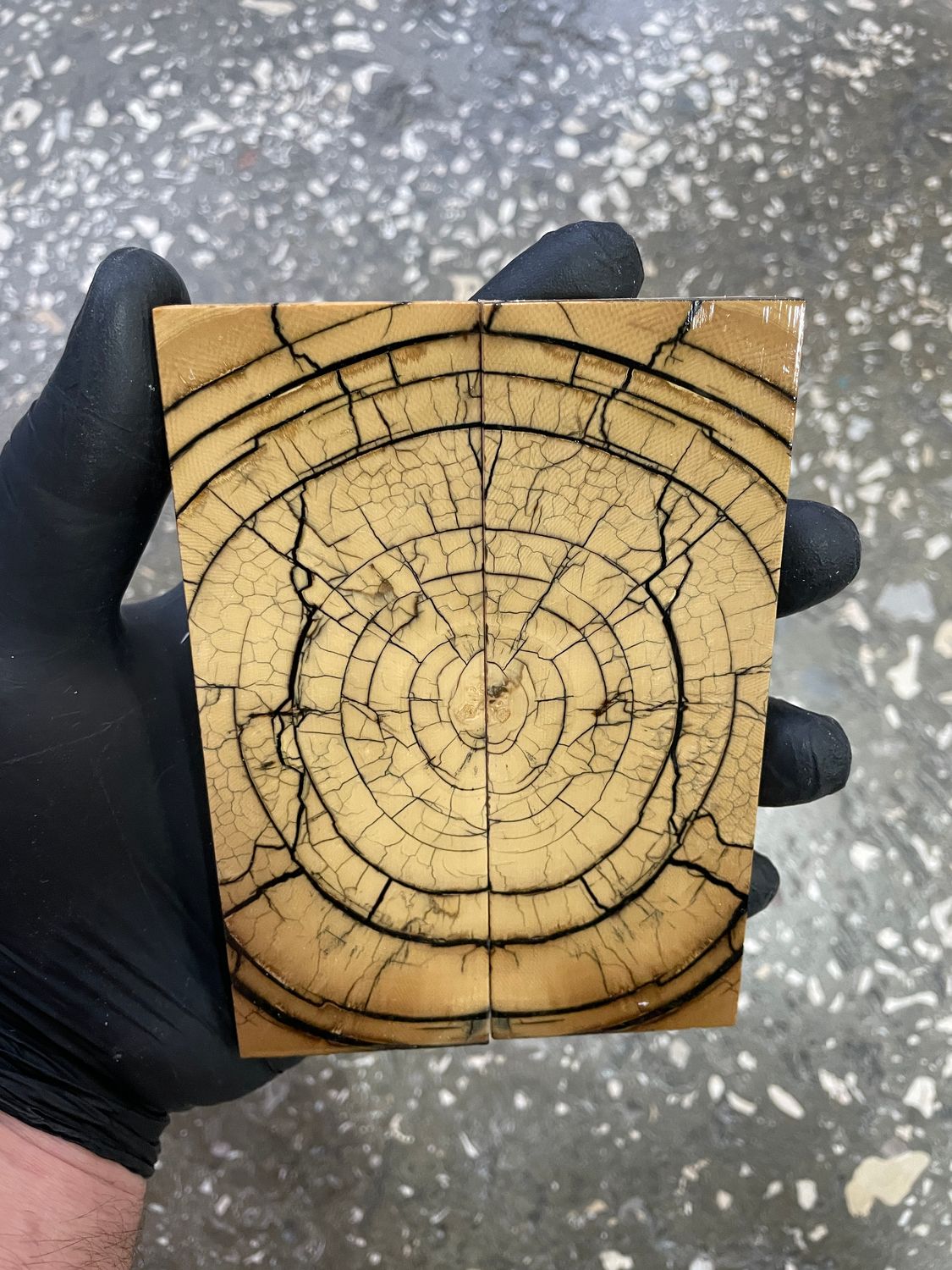 Mammoth tusk knife scales 5.15-1.88-0.39 inch MTS20