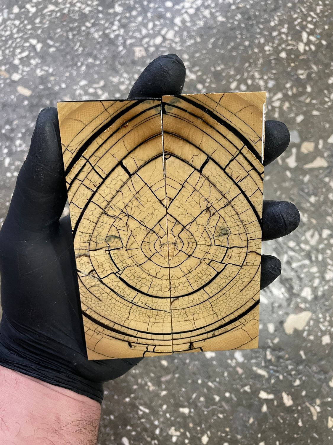 Mammoth tusk knife scales 5.15-1.77-0.35 inch MTS21