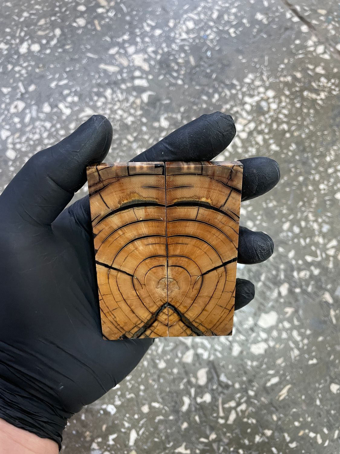 Mammoth tusk knife scales poket size 3.54-1.18-0.27 inch MTP25