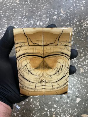 Mammoth tusk knife scales 5.15-1.81-0.39 inch MTS16