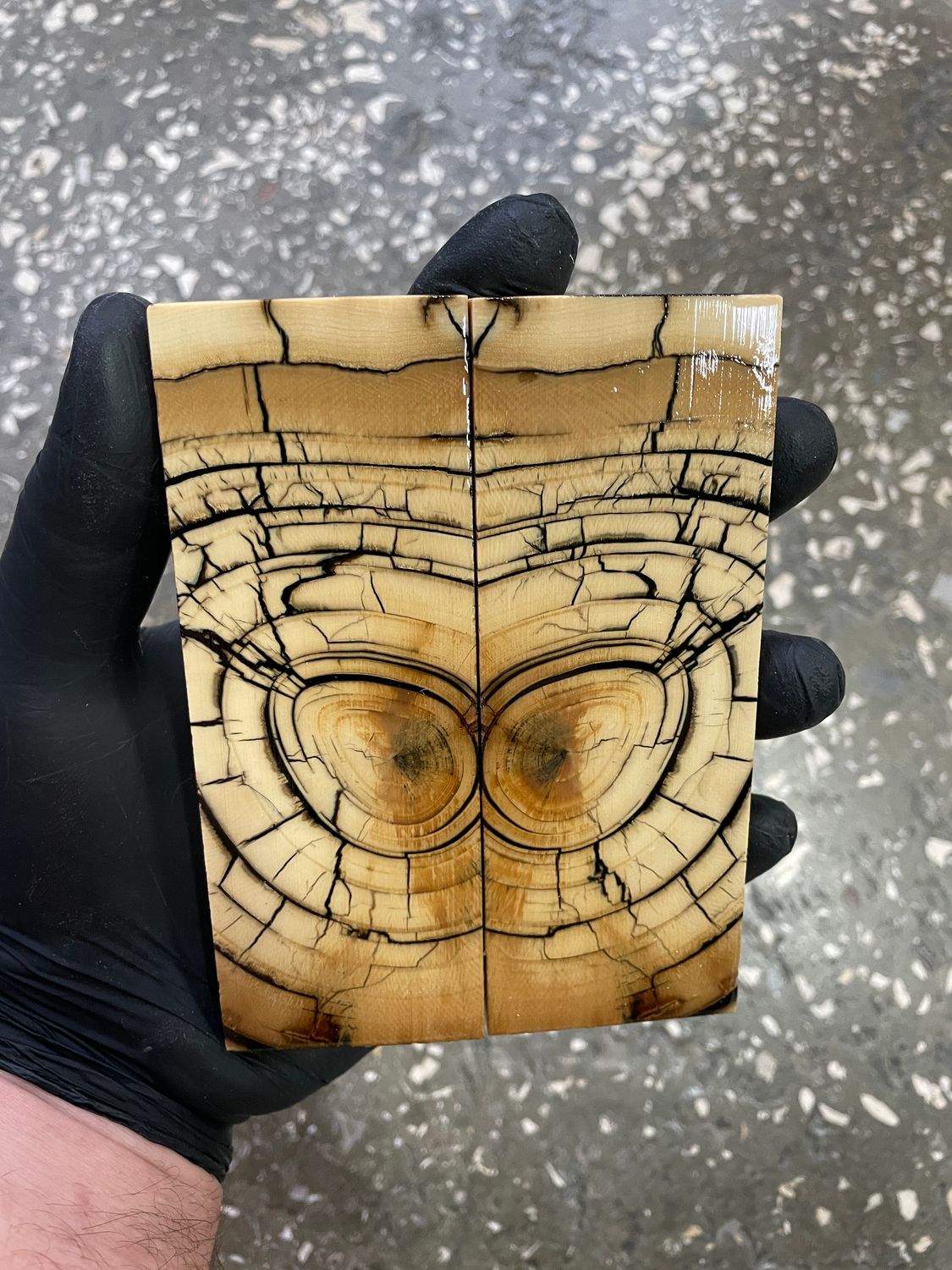 Mammoth tusk knife scales 5.15-1.88-0.39 inch MTS19