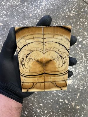 Mammoth tusk knife scales 5.15-1.77-0.35 inch MTS24