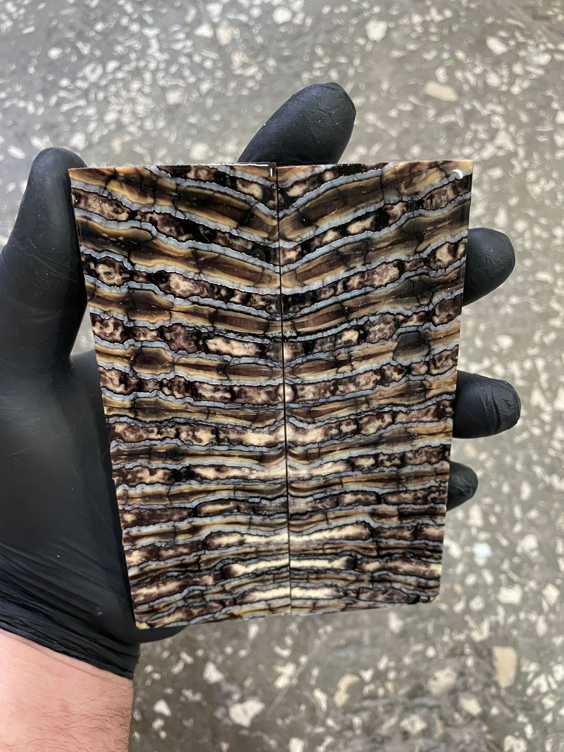 Mammoth tooth scales pair  stabilized for knifehandl 5.11-1.77-0.39 inch TOS38