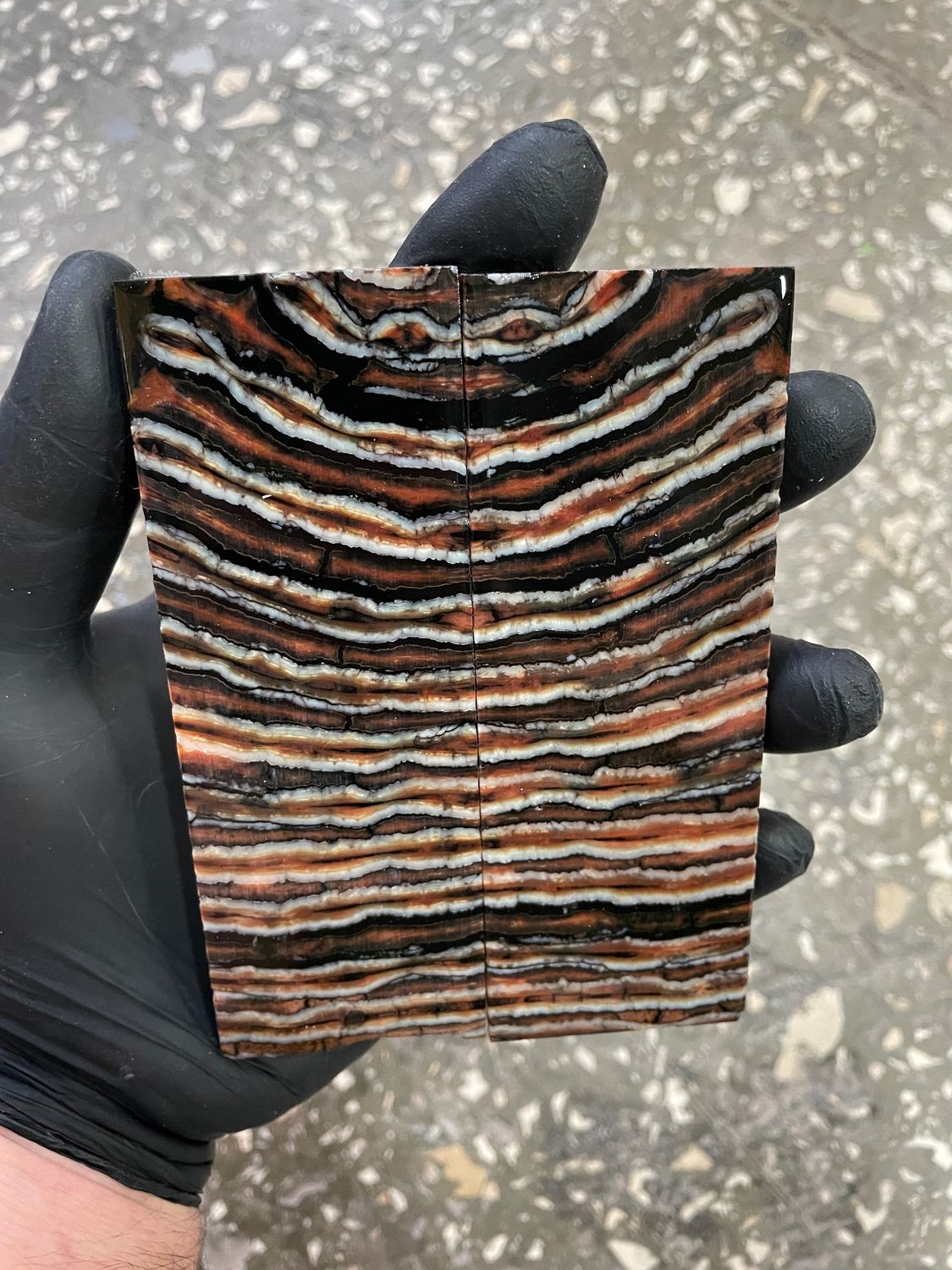 Mammoth tooth scales pair  stabilized for knifehandl 5.11-1.77-0.39 inch TOS45