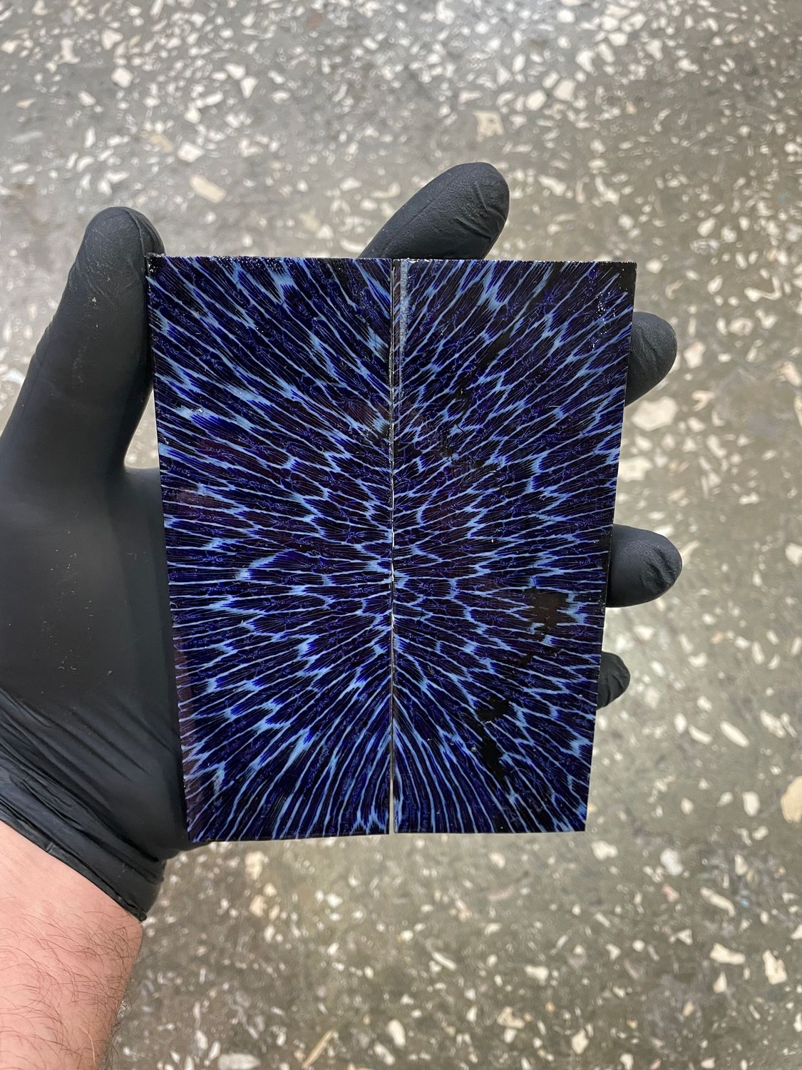 Coral knife scales stabilized 4.96-1.73-0.35 inch CO1